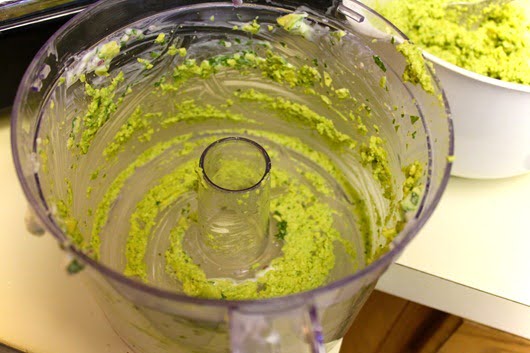 Food-Processor-Avocado