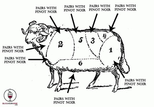how-to-pair-with-pinot-noir