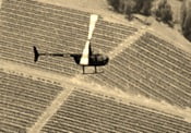 To Save Soggy Grapes, Winemaker Looks To Helicopter