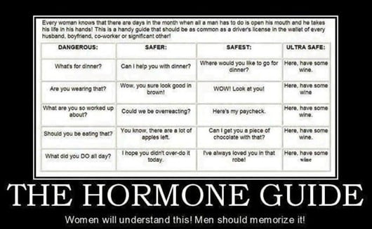 The Hormone Guide: Women Will Understand it, Men Should Memorize it!