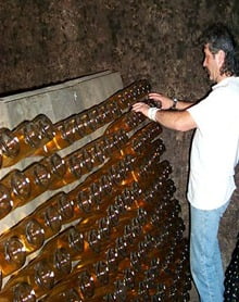 Riddling Champagne: Mullet's are optional.