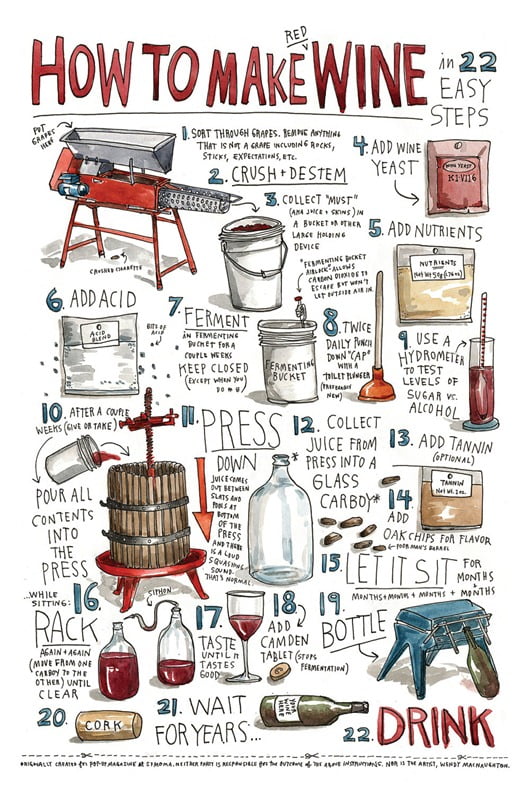 How to Make Wine in 22 Easy Steps!