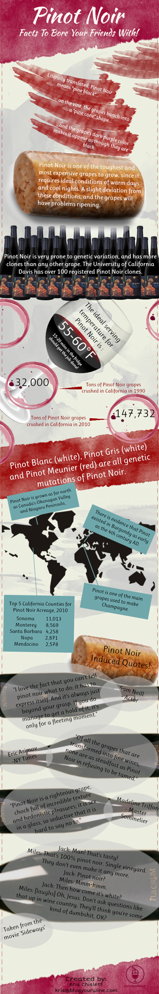 Pinot-Noir-Facts-Infographic