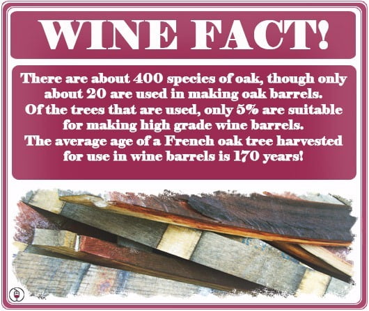 Wine-Fact-Oak-Wine-Barrels