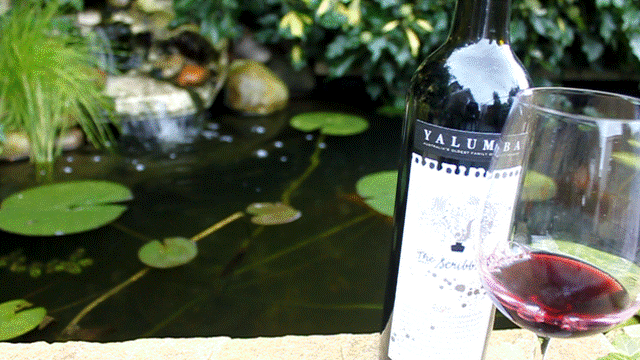 Yalumba-Scribbler-Cabernet-Shiraz-Wine
