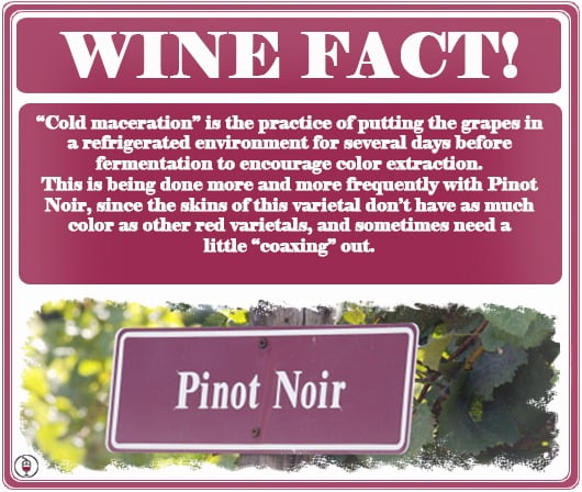 Cold-Maceration-Wine-Facts