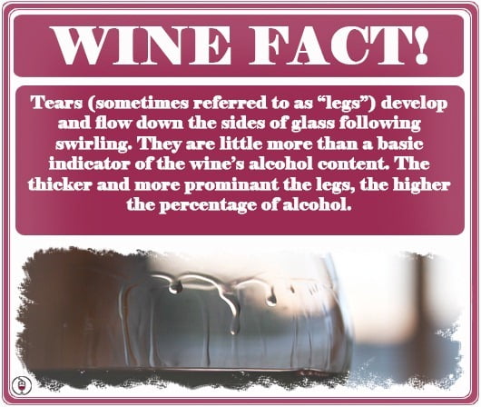 Wine Legs